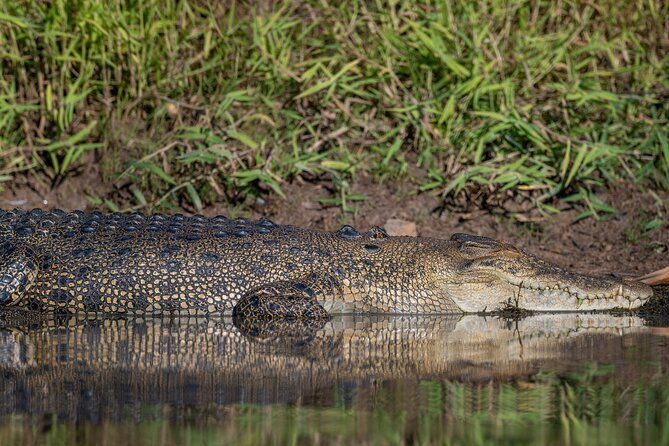 Kakadu National Park Evening Tour + Yellow Water Sunset Cruise - Mamukala Wetlands Time: A Quick Nature Reset