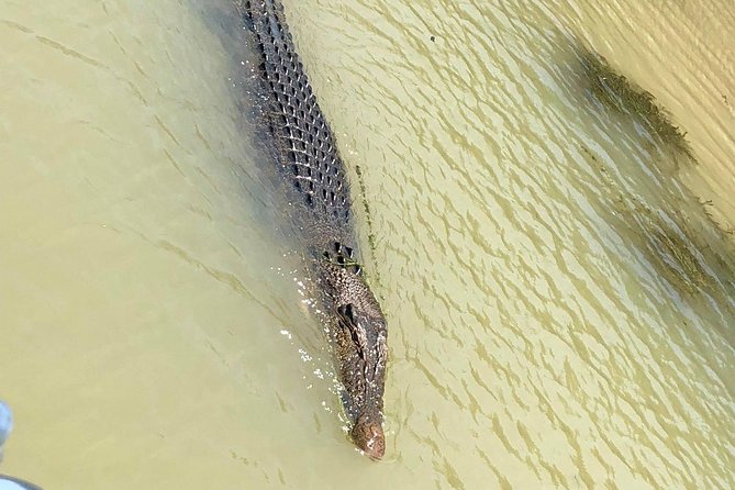 Kakadu National Park Scenic Flight &Yellow Water Cruise - Why this Kakadu day trip works: air views plus Yellow Water up close