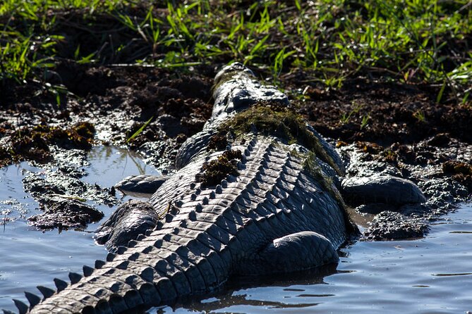 Kakadu National Park Wildlife & Ubirr Rock Art Tour from Darwin - Key highlights at a glance