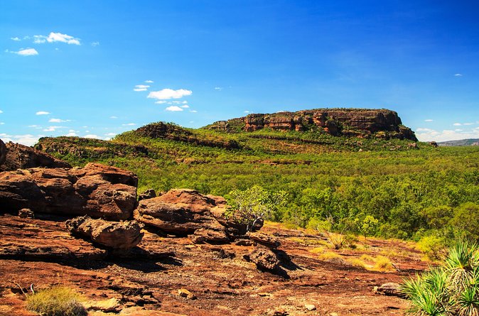 Kakadu, Nourlangie and Yellow Waters Tour from Darwin - Why these three stops work together (and why it’s still a long day)