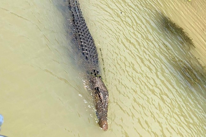 Kakadu Yellow Waters Cruise & Katherine Gorge Helicopter Scenic - Katherine Gorge by helicopter: 13 gorges and real up-close scale