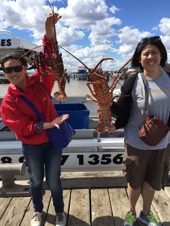 Kalbarri Crayfish Catch & Keep Tour - What you learn about Western Rock Lobster (and the rules around it)