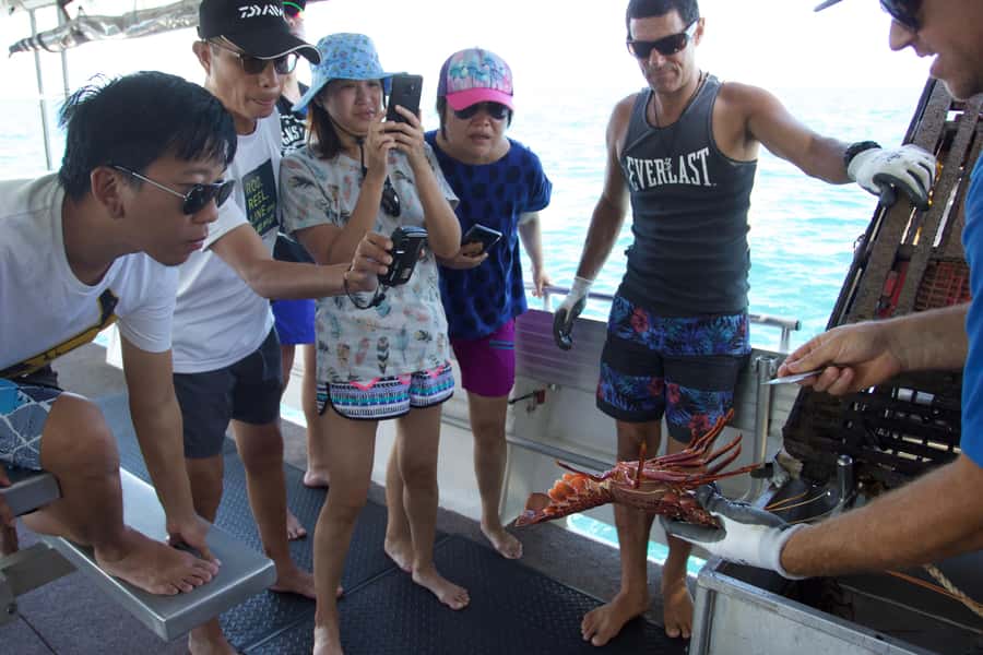 Kalbarri Crayfish Catch & Keep Tour - Who this tour suits best in Kalbarri