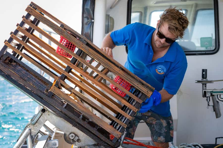 Kalbarri Crayfish Catch & Keep Tour - The 50-foot boat: why deck access changes everything