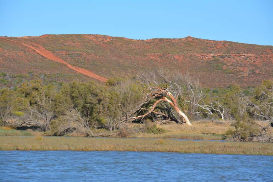 Kalbarri: Murchison River Morning Cruise - How the 2-Hour Cruise Actually Flows