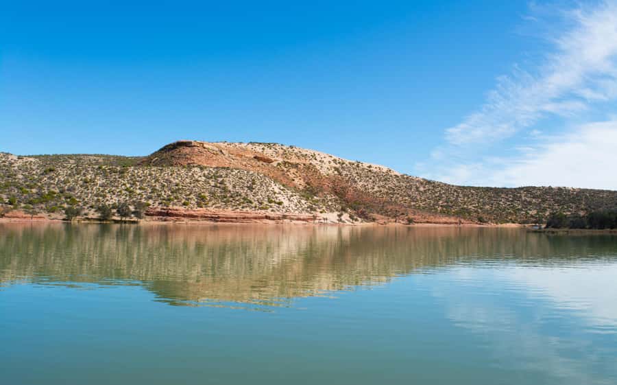 Kalbarri: Murchison River Wilderness Wildlife Cruise - Murchison River Wildlife Cruise: why the $49 price feels reasonable