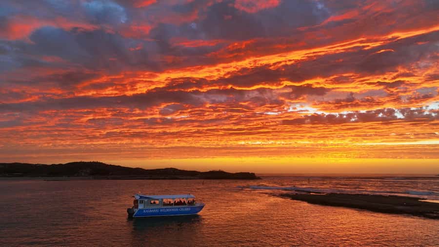 Kalbarri: Murchison River Wilderness Wildlife Cruise - Up the lower Murchison: birds, bankside animals, and what the guide helps you spot