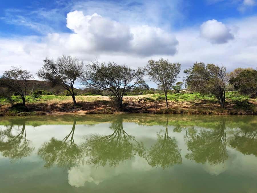 Kalbarri: Murchison River Wilderness Wildlife Cruise - What to pack and how to dress so the 150 minutes feel comfortable