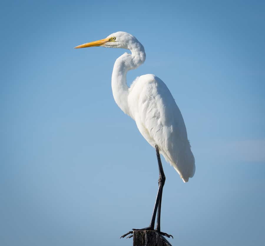 Kalbarri: Murchison River Wilderness Wildlife Cruise - Who this cruise suits best (and who might want another plan)