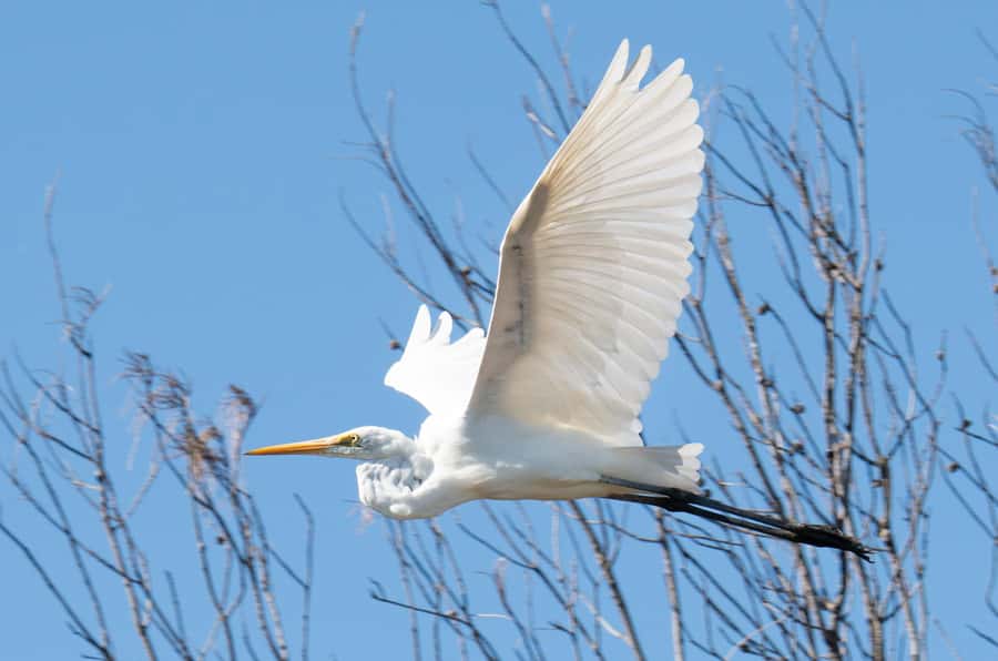 Kalbarri: Murchison River Wilderness Wildlife Cruise - Should you book the Kalbarri Murchison River Wilderness Wildlife Cruise?