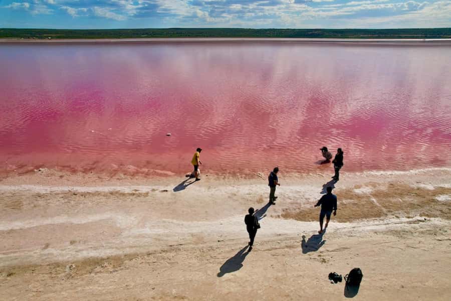 Kalbarri: Pink Lake and Coastal Cliffs Tour - Key Points That Make This Tour Worth It