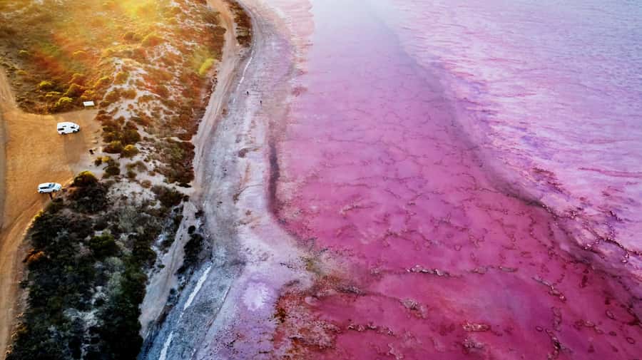 Kalbarri: Pink Lake and Coastal Cliffs Tour - Pink Lake (Hutt Lagoon) and the Algae Behind the Bubblegum Color