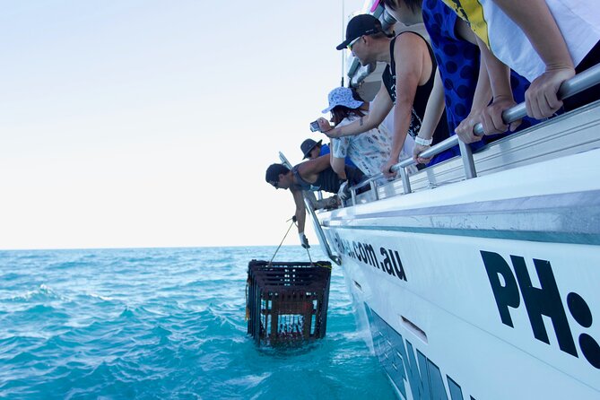 Kalbarri Rock lobster Pot Pull Tour in Kalbarri - Quick take: what’s great here