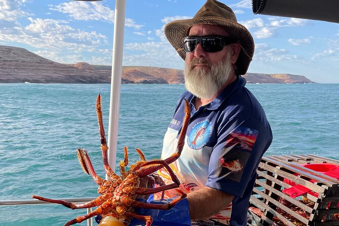 Kalbarri Rock Lobster Tours - Taking some lobster home: sharing the catch beyond the boat