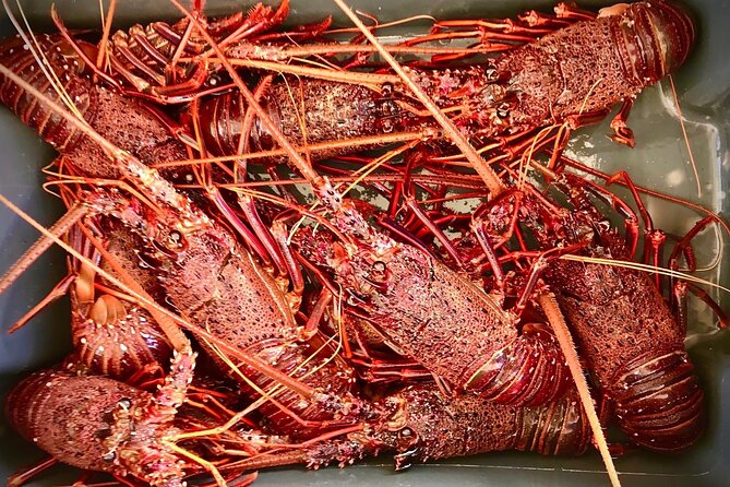 Kalbarri Rock Lobster Tours - Getting started: Kalbarri Maritime Facility and the mobile ticket