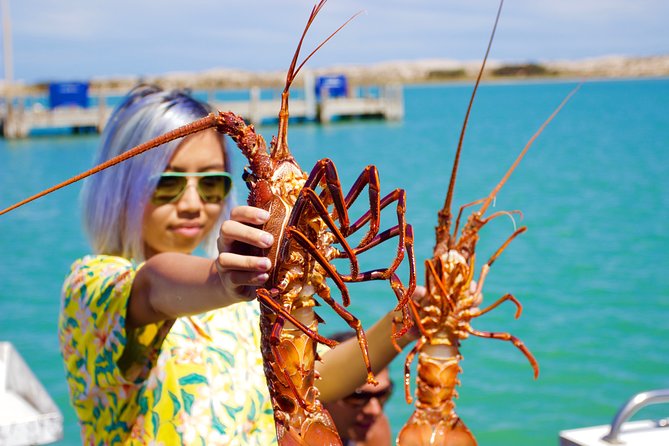 Kalbarri Stargazing Tour - Phone photo tips that actually help (not just theory)