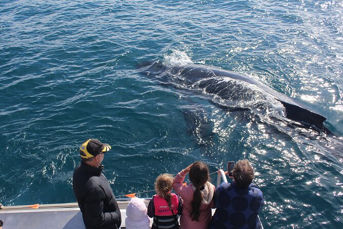 Kalbarri Whale Watching Tour - Meeting at Pen 1 and getting settled on board