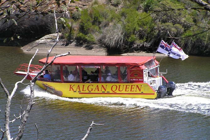 Kalgan Queen Scenic Cruises a four hour sheltered water wildlife tour daily fun. - Quick take: what makes this cruise worth your time