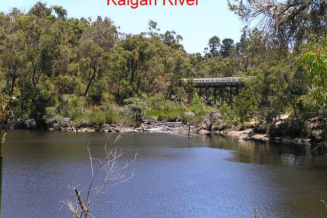Kalgan Queen Scenic Cruises a four hour sheltered water wildlife tour daily fun. - What’s included that actually matters: damper, tea, and comfort