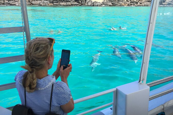 Kangaroo Island 75-Minute Coastal Safari - Christmas Cove departure and the tight 75-minute format