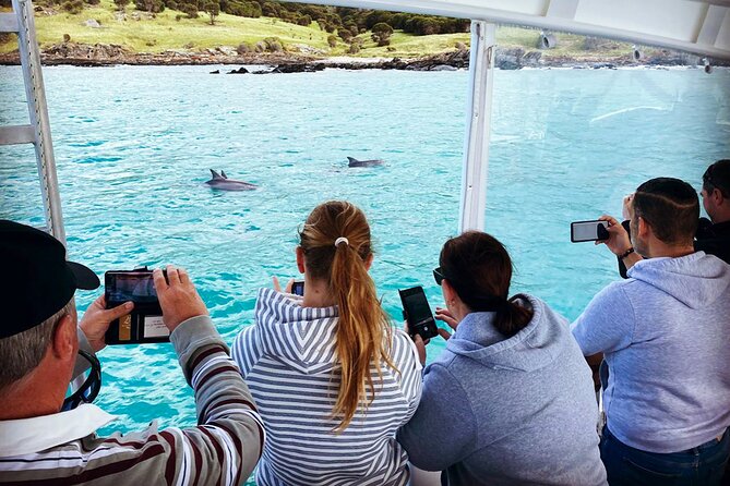 Kangaroo Island 75-Minute Coastal Safari - Route rhythm: what the 75 minutes actually feels like
