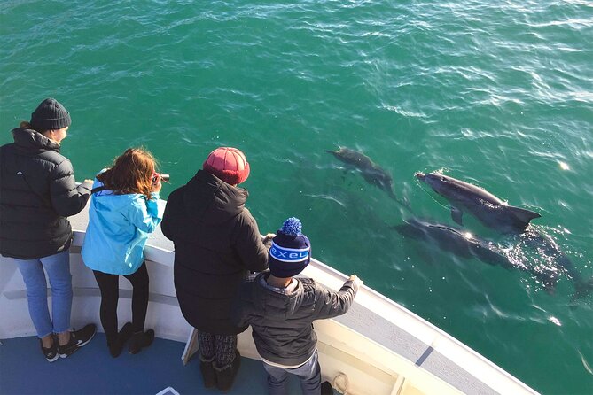 Kangaroo Island 75-Minute Coastal Safari - Booking smart: the two things that can change your day