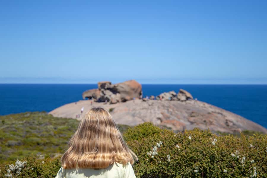 Kangaroo Island Full Day Experience by Ferry Including Lunch - Kangaroo Island in One Day: Why This Works