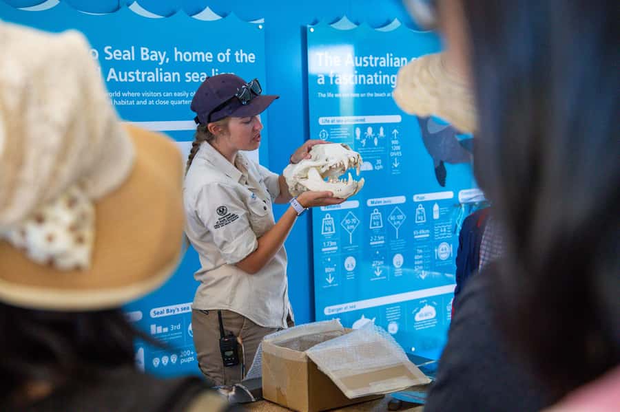 Kangaroo Island Full Day Experience by Ferry Including Lunch - Lunch in the Bush: Fuel Without the Whole Production