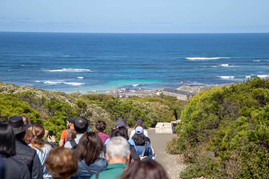 Kangaroo Island Full Day Experience by Ferry Including Lunch - Wildlife Timing: How the Day Ticks