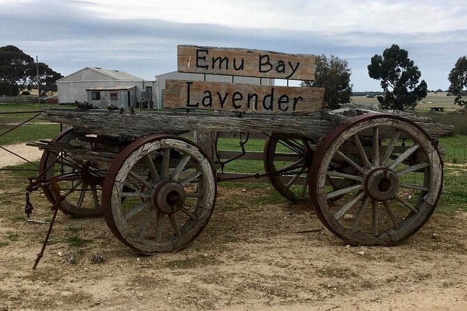 Kangaroo Island Half Day Tasting Tour - Key takeaways