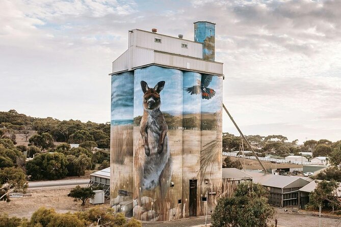 Kangaroo Island Half-Day Tour - Kangaroo Island Half-Day Tour: what you actually get in 5 hours