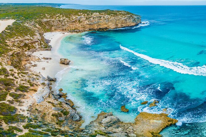 Kangaroo Island Half-Day Tour - Island Beehive: a functioning beehive and Ligurian Bee Honey