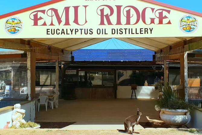 Kangaroo Island Half-Day Tour - Kangaroo Island Brewery tastings: craft beer and cider time