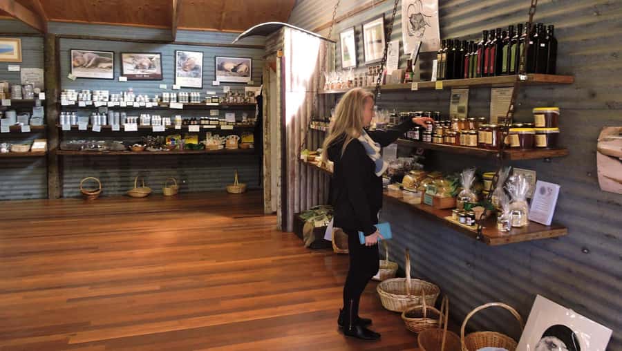 Kangaroo Island: Half-Day Tour Guided Coach Tour - Ligurian Bee Honey at the Working Beehive