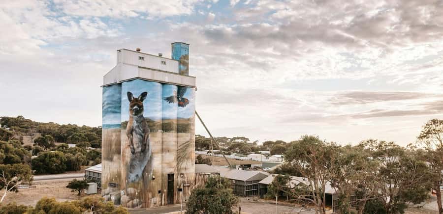 Kangaroo Island: Half-Day Tour Guided Coach Tour - Kingscote in One Hour: Old Town Energy Without the Rush