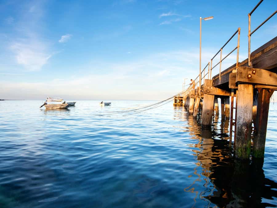 Kangaroo Island: Half-Day Tour Guided Coach Tour - Price and Value: When $123 Feels Right