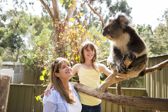 Kangaroo Island in a Day Tour from Adelaide - Kangaroo Island Wildlife Park: feeding kangaroos and meeting koalas