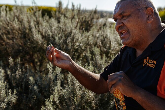 Kangaroo Island Indigenous Tour (1 Day) - A 16-hour Indigenous Story Day from Adelaide