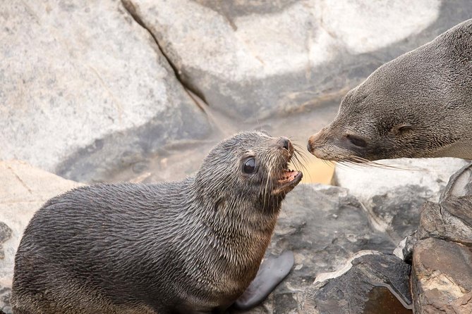 Kangaroo Island Luxury Small Group 'Flinders Chase Focus' Full Day Tour - Getting to the park with zero hassle from Kingscote