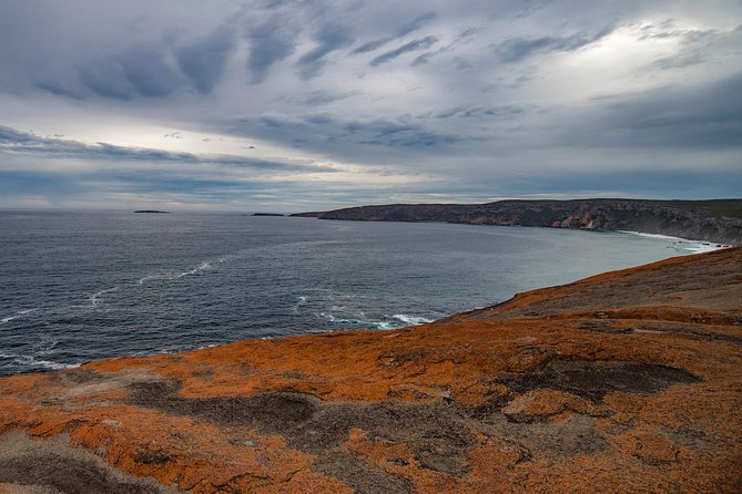 Kangaroo Island Luxury Small Group 'Flinders Chase Focus' Full Day Tour - Admirals Arch: seals, sea spray, and a coastal grotto vibe