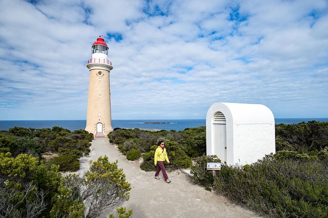 Kangaroo Island Luxury Small Group 'Flinders Chase Focus' Full Day Tour - Price and what you’re really paying for