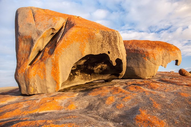 Kangaroo Island Luxury Small Group 'Flinders Chase Focus' Full Day Tour - Guides make the difference: facts, pacing, and real personality