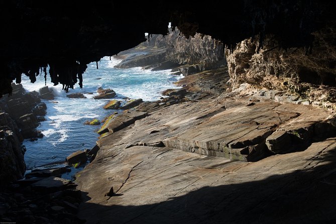 Kangaroo Island Luxury Small Group 'Flinders Chase Focus' Full Day Tour - Flinders Chase National Park: the day’s wildlife engine