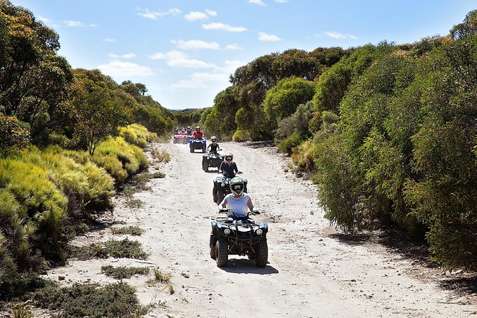 Kangaroo Island Quad Bike (ATV) Tours - Choosing your ride: beaches, viewpoints, and tougher gravel tracks