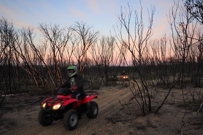 Kangaroo Island Quad Bike (ATV) Tours - Wildlife stops and Yakka-tree lessons that feel real