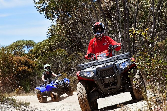 Kangaroo Island Quad Bike (ATV) Tours - Vivonne Bay to the tracks: what a typical 2–3 hours feels like