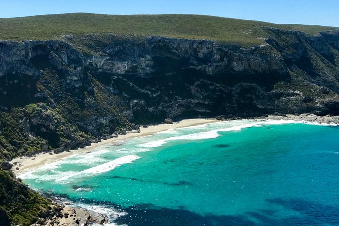 Kangaroo Island Scenic Nature and Wildlife Day Tour - Pricing at $286.18: Is It Worth It?