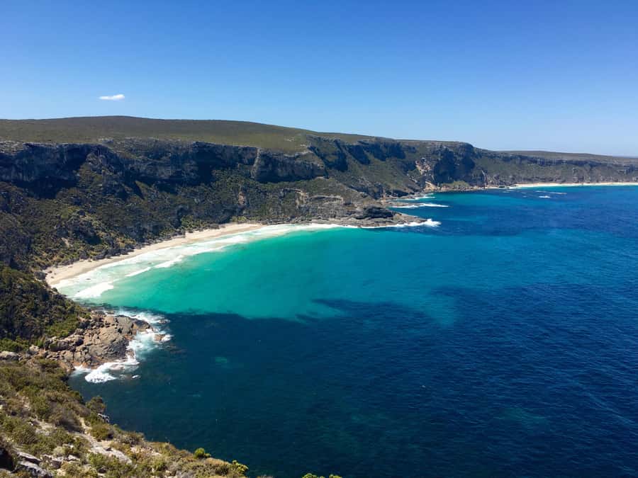 Kangaroo Island: Scenic, Nature & Wildlife Tour - Key Things You’ll Appreciate on This Kangaroo Island Tour
