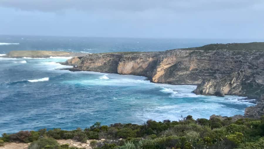 Kangaroo Island: Scenic, Nature & Wildlife Tour - Quick Reality Check: What Can Go Wrong (So You Can Enjoy It Anyway)