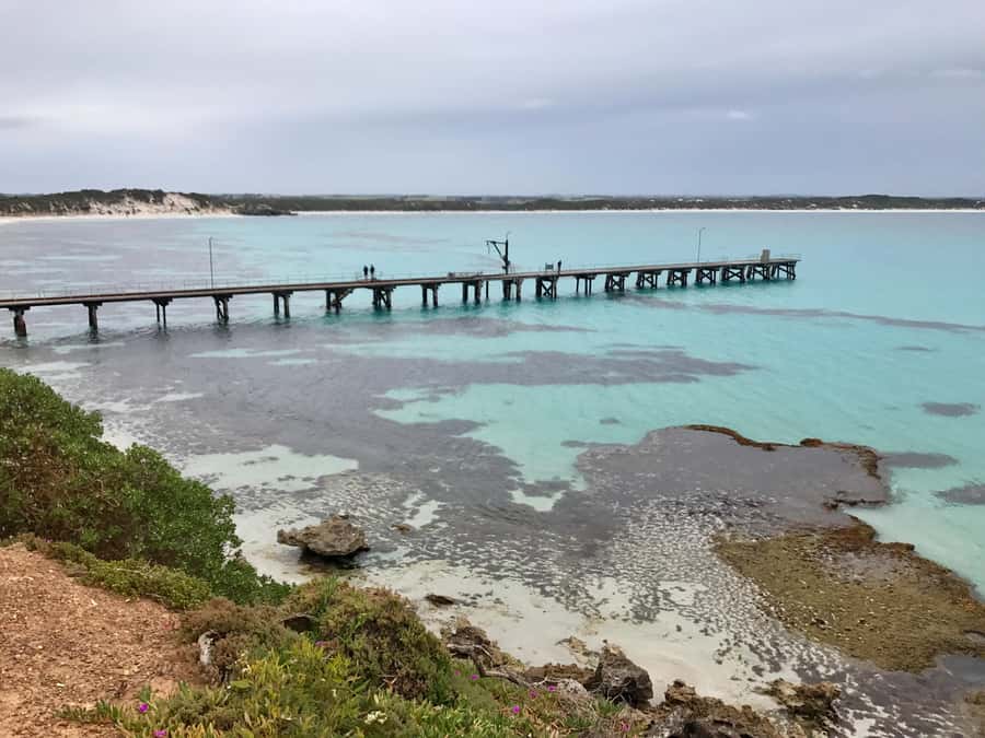 Kangaroo Island: Scenic, Nature & Wildlife Tour - Weirs Cove and Vivonne Bay: Coast Time With More Wildlife Chances